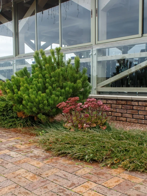 modern-restaurant-with-tile-pavement-and-landscape-2025-03-16-16-53-43-utc